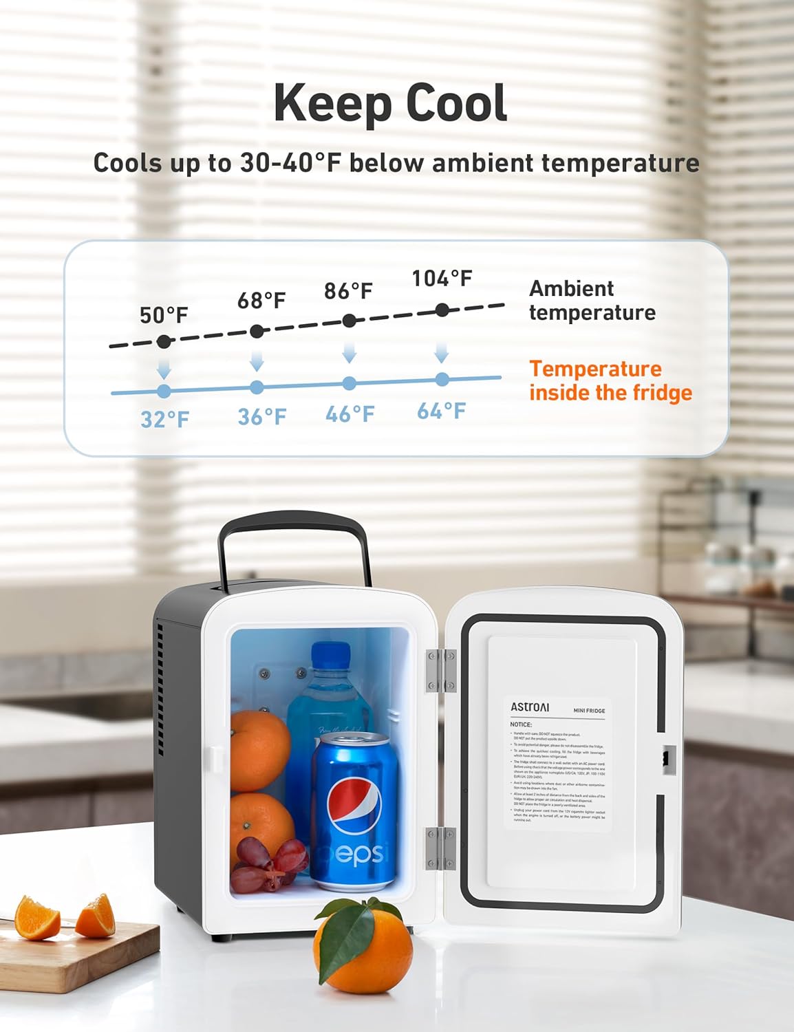 Mini Fridge, 4 Liter/6 Can AC/DC Portable Thermoelectric Cooler Refrigerators for Skincare, Beverage, Food, Home, Office and Car, ETL Listed (Black)